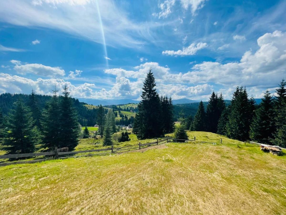Lidia Chalets Polyanitsa Popovichevskaya エクステリア 写真
