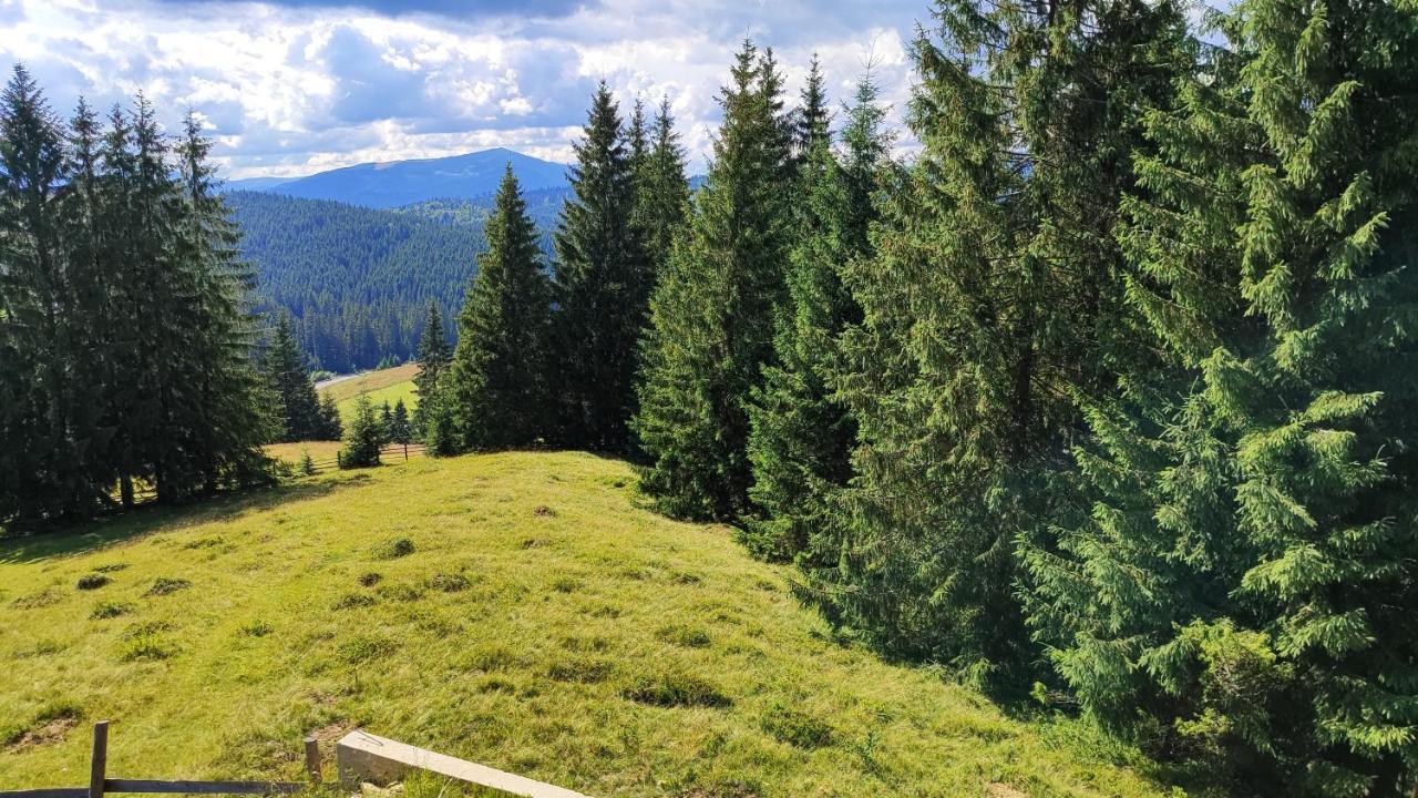 Lidia Chalets Polyanitsa Popovichevskaya エクステリア 写真