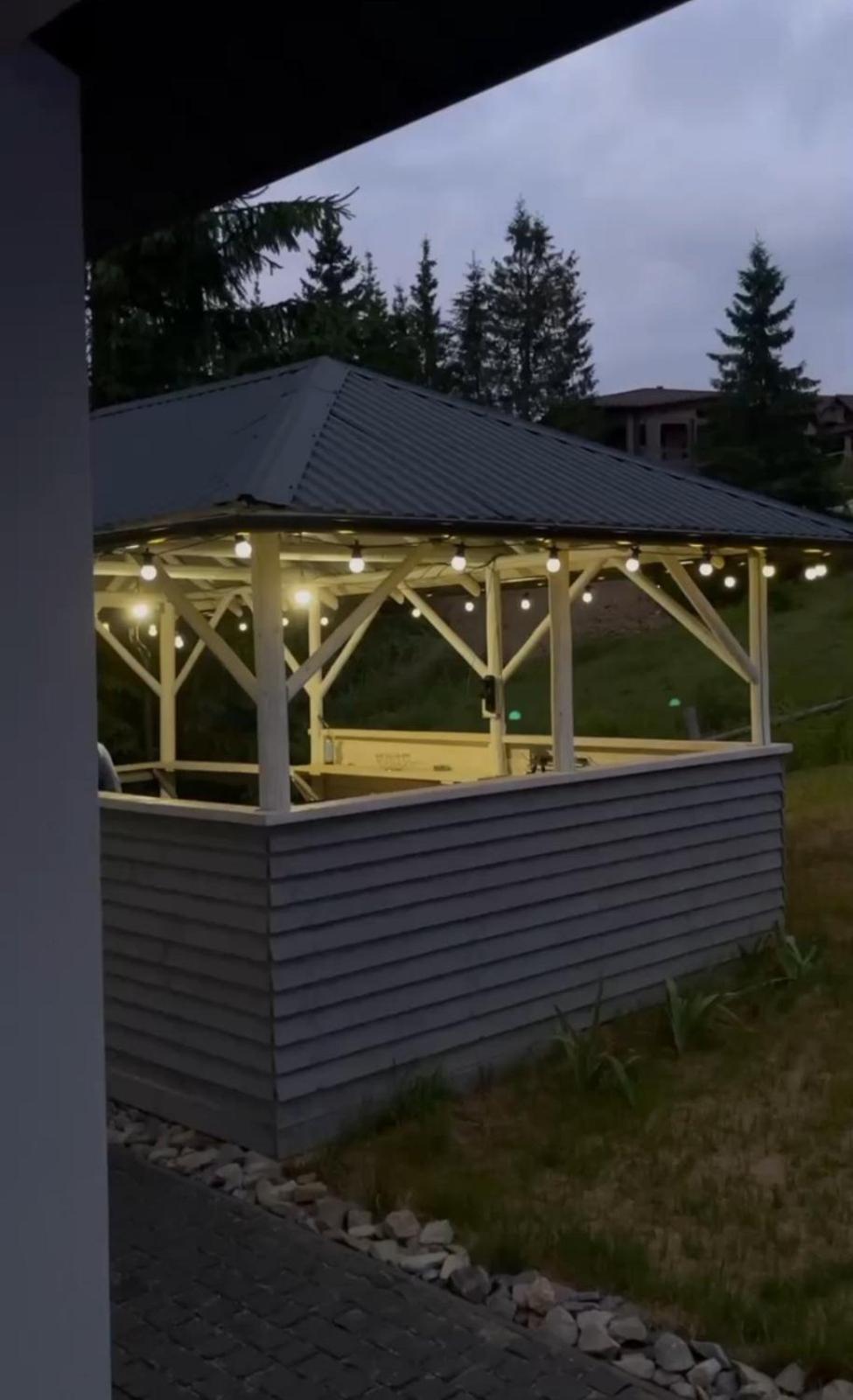 Lidia Chalets Polyanitsa Popovichevskaya エクステリア 写真